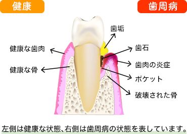 院長写真