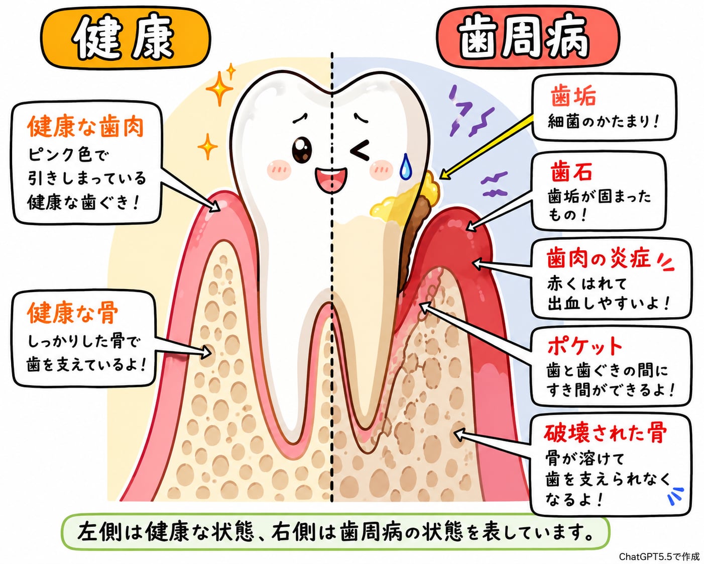 歯周病治療・メンテナンス｜資料12（旧サイト掲載資料）
