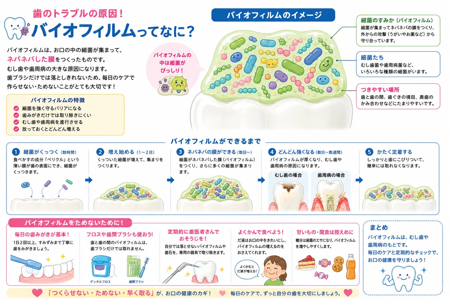 歯周病治療・メンテナンス｜資料16（旧サイト掲載資料）