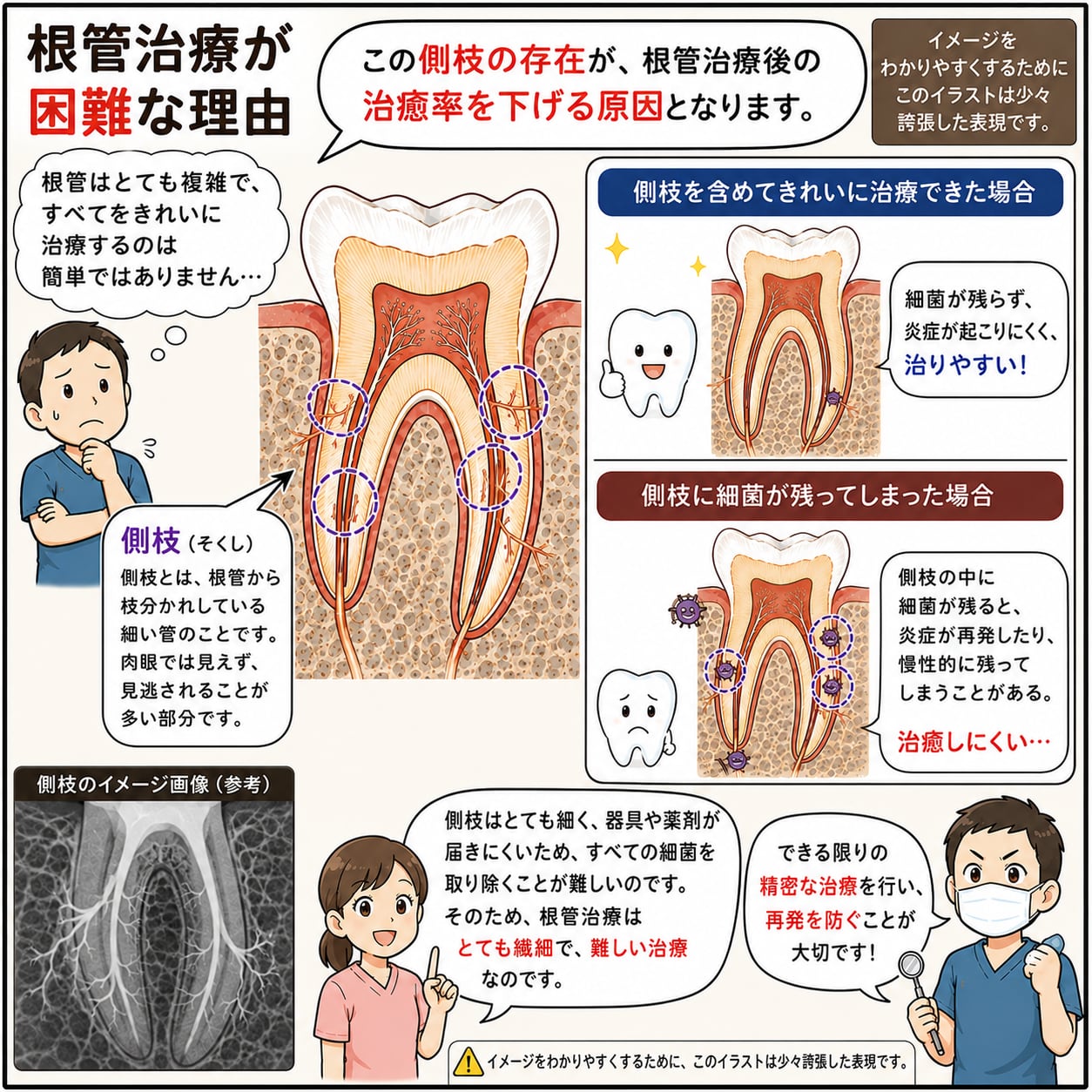 むし歯の治療｜資料14（旧サイト掲載資料）