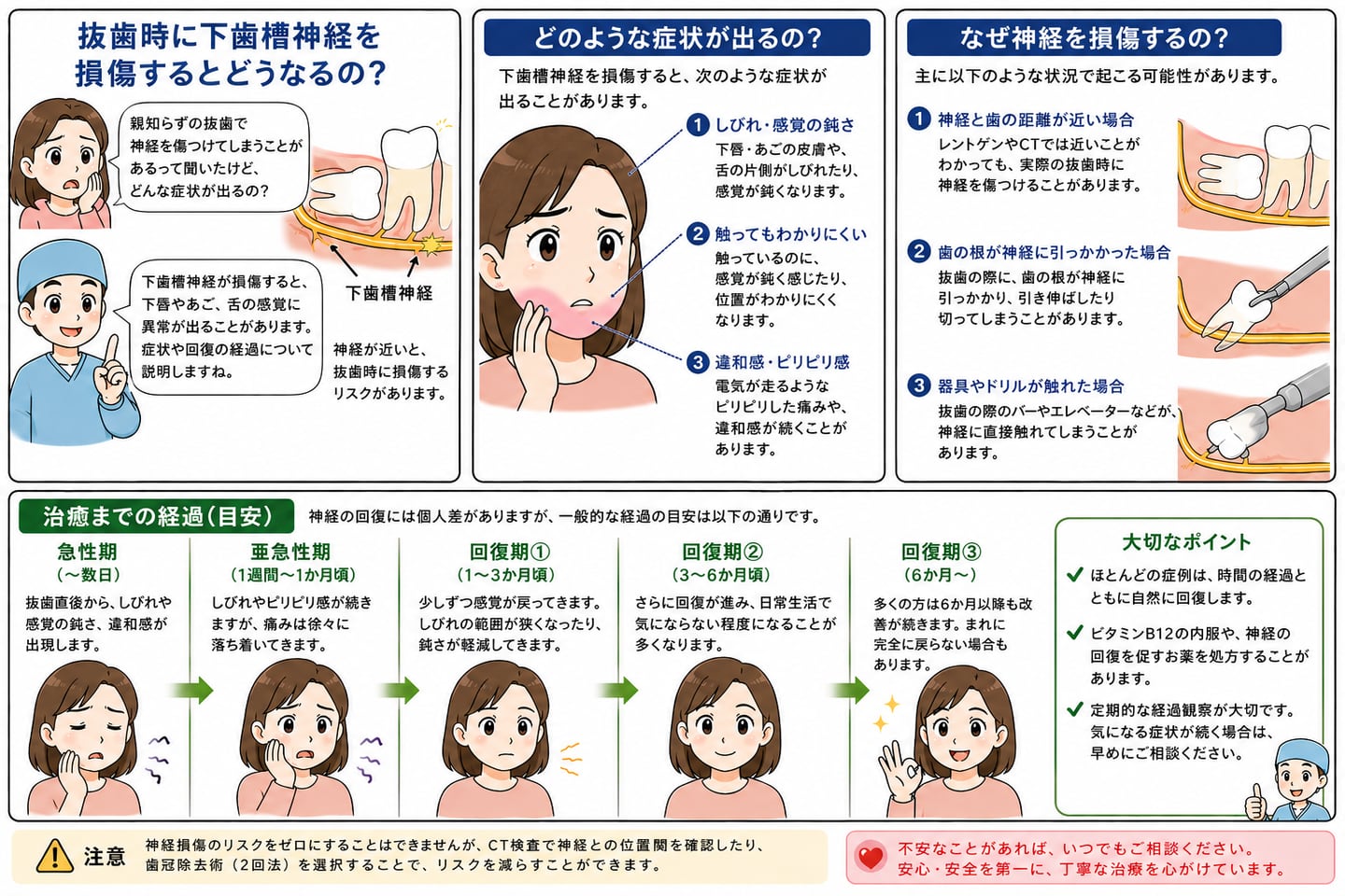 おやしらずの治療｜資料20（旧サイト掲載資料）