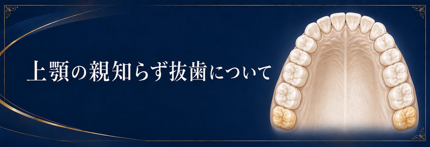 おやしらずの治療｜資料12（旧サイト掲載資料）